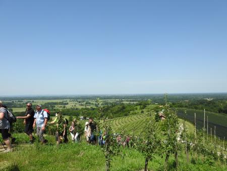 12. pohod Pomlad v prleških goricah Dan odprtih kleti in veselih ljudi, 28.5.2016 61